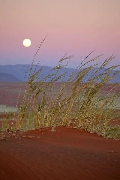 Africa, Namibia, Sossusvlei. The full moon rises over the NamibRand Nature Reserve in Sossusvlei