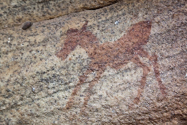 Africa, South Africa, Northern Cederberg Pakhuis Conservancy, Sevilla Rock Art Trail