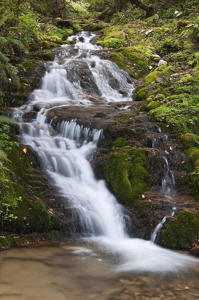 Asia, Bhutan. Waterfall in central Bhutan
