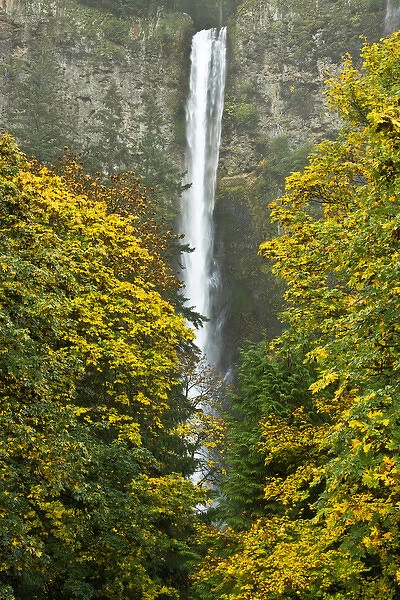 autumn, Multnomah Falls, Columbia Gorge, Oregon, USA