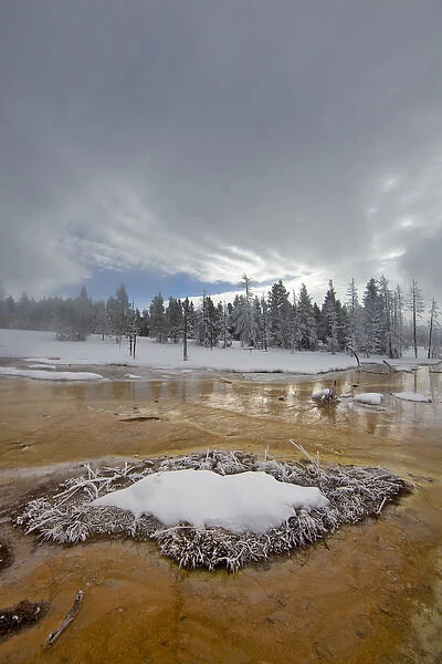 Bacteria Mat in the Lower Geyser Basin in winter in Yellowstone National Park