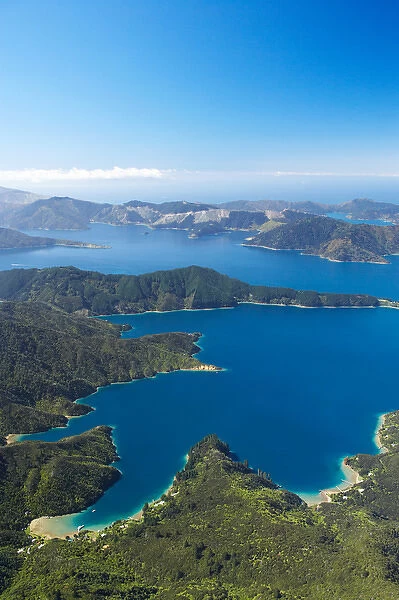 Bay of Many Islands, Queen Charlotte Sound, Marlborough Sounds, South Island, New
