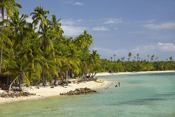 Beach, palm trees and beachfront bures, Plantation Island Resort, Malolo Lailai Island