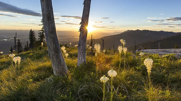 Beargrass at sunset in the Swan Range looking down onto the Flathead Valley near Bigfork