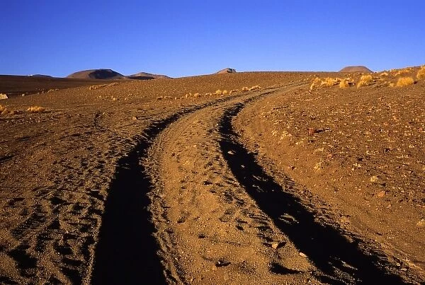 Bolivia, Uyuni, Tire tracks lead off into the desert on the Southwest Circuit Tour