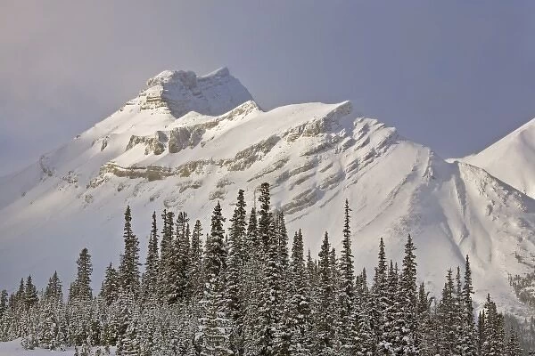 Canada, Alberta, Banff National Park. Summit of Nigel Peak