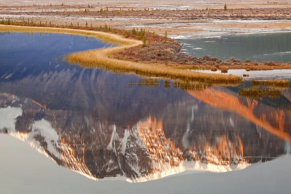 Canada, Alberta, Jasper National Park. Mount Kitchener reflected in Sunwapta River