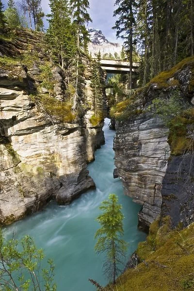 Canada, Alberta, Jasper National Park, Athabasca Falls