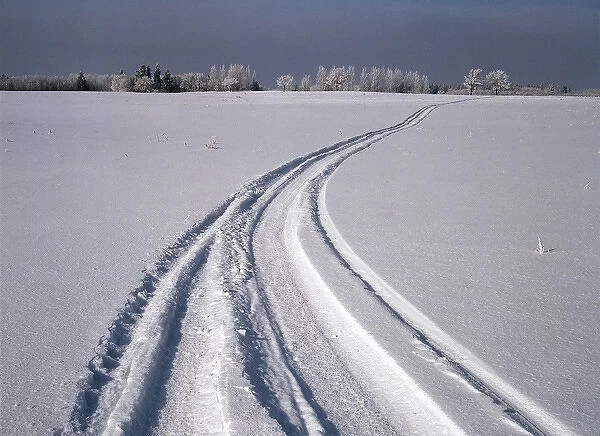 Canada, Manitoba, Tire tracks in snow landscape