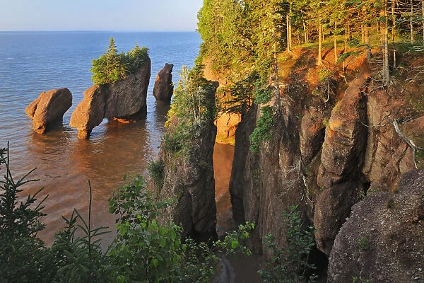 Canada, New Brunswick, The Rocks Provincial Park. Cape Hopewell rocks at sunrise at low tide