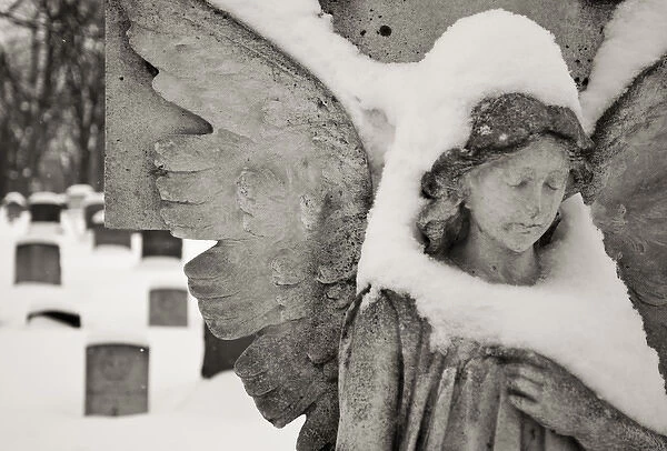 Canada, Ottawa, Beechwood Cemetery. Snow-covered stone angel