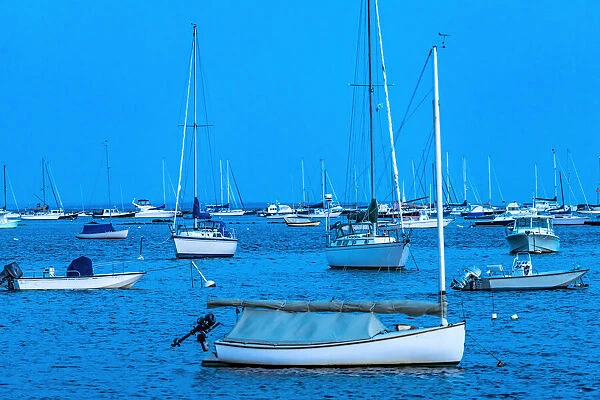 Catboat, Padanaram Harbor, Buzzards Bay, Dartmouth, Massachusetts