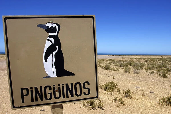 Chubut Province, Argentina, Peninsula Valdes, Unesco World Heritage Site, penguin