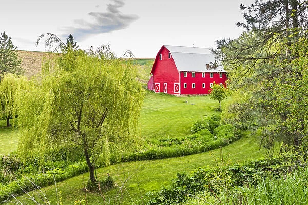 Colfax, Washington State, USA. A red barn on a farm in the Palouse hills