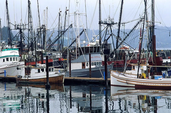 Commercial fishing boats docked at Newport on the Oregon Coast. commercial