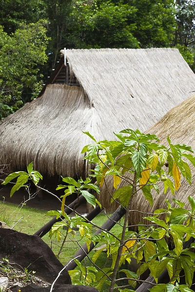 Dominica, Kalinago Barana Aute, Carib Heritage Village, thatched roof of traditional