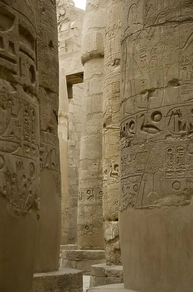 Egypt, Luxor, East Bank, Karnak Temple. Hieroglyphic covered columns in the hypostyle hall