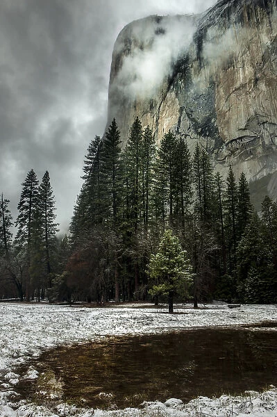 El Capitan seen from the valley meadows. Yosemite, California, US