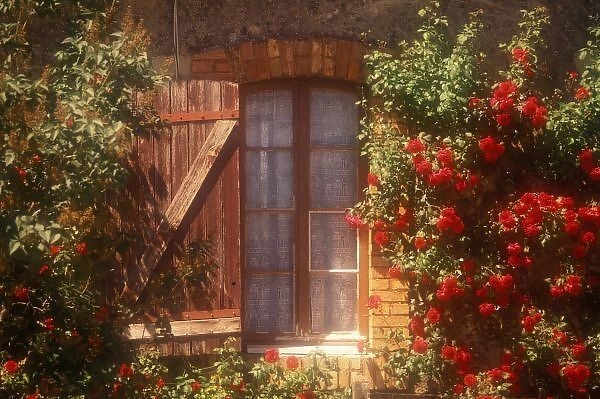 EU, France, Provence, Vaucluse, Apt. House with summer roses in bloom