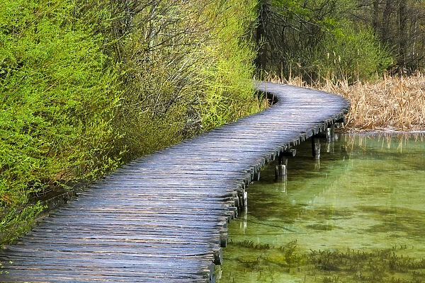Europe, Croatia, Plitvice Lakes National Park. Wooden walkway over lake. Credit as