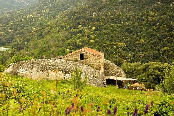 Europe, France, Corsica. Quaint House between the rocks just off road between Porto