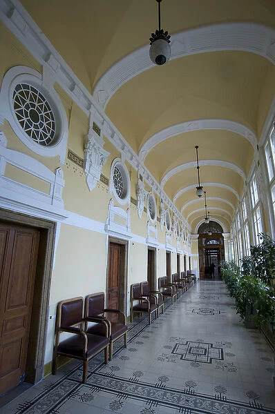 Europe, Hungary, Budapest, Szechenyi spa interior