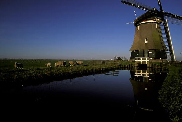 Europe, Netherlands, Volendam. Windmill