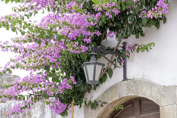 Europe, Portugal, Obidos. Arched doorway with Purple Bougainvillea and wrought Iron