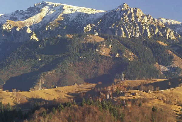 Europe, Romania, Carpatian, Mt. Bocegi