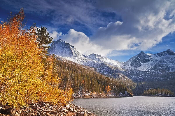 Fall aspens under Sierra peaks from South Lake, John Muir Wilderness, Sierra Nevada Mountains