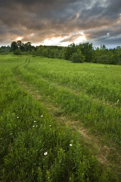 A farm road in Sabins Pasture in Montpelier, Vermont