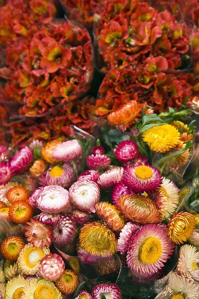 France, Reunion Island, St-Paul, Seafront Market, flower market