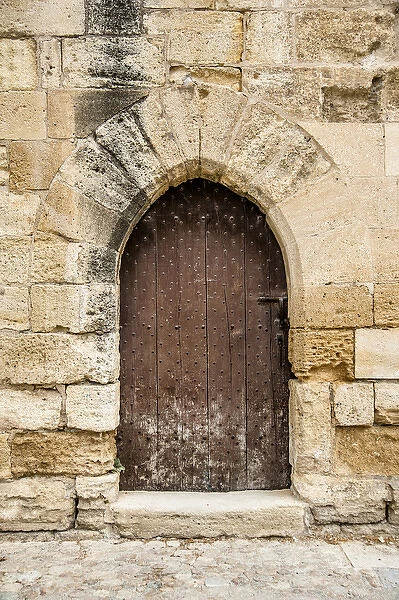 french medieval arched door in stone wall