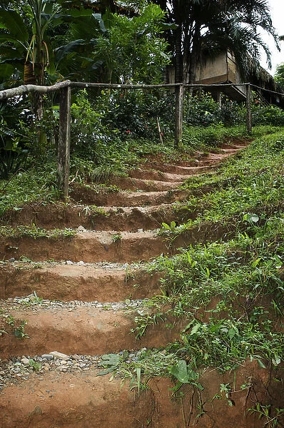 Goa, Panama. A pathway through the Embra Village in the rain forest of Panama