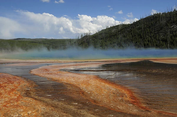 Grand Prismatic Spring (3), Middle Geyser Basin, Yellowstone National Park, Wyoming, USA