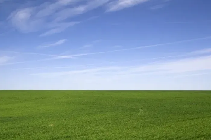 Framed Print : Green Wheat Fields Print - Washington County, Colorado