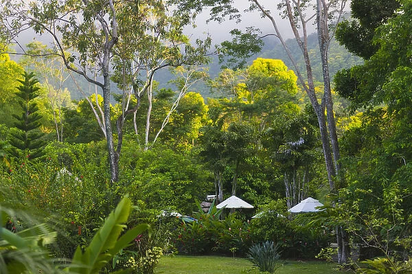 Grounds of Pico Bonito Lodge, Honduras