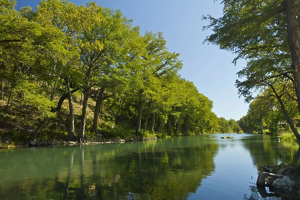 Guadalupe River and Baldcrypress trees at Gruene, Texas near New Braunfels