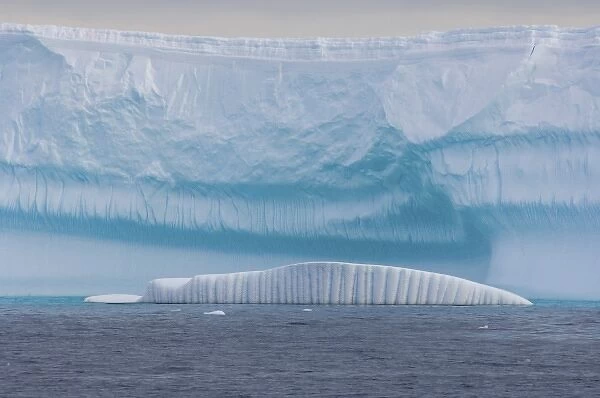 iceberg in front of a glacier, western Antarctic peninsula, Antarctica, Southern Ocean