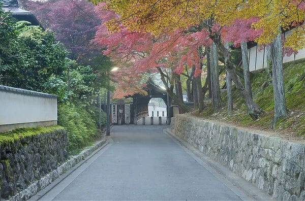Japan, Kyoto, Autumn Color at Tofukuji Temple