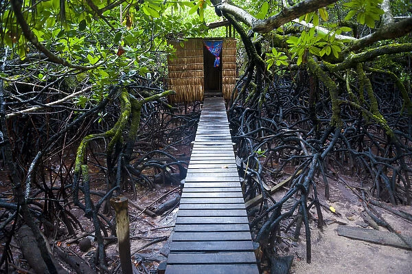 Jungle toilet on a an islet ot the Marovo Lagoon, Salomon Islands, Pacific