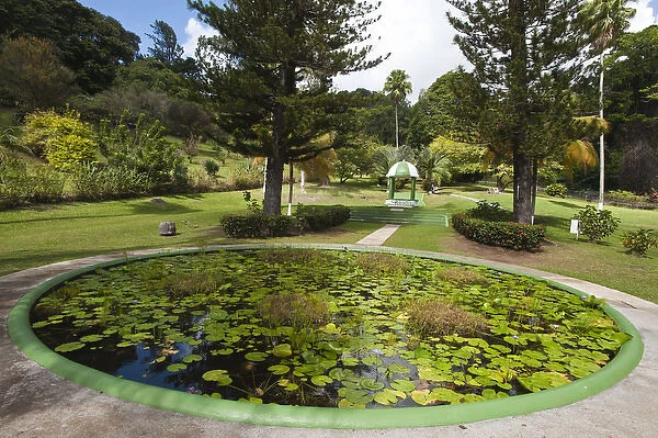 Kingstown Botanical gardens, St. Vincent & The Grenadines