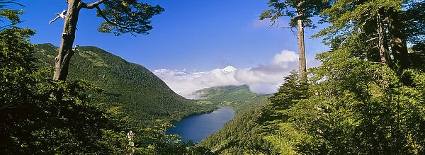 Lago Tincilco and Volcan Villarica Huerquehue National Park, Temuco, Araucania, Chile