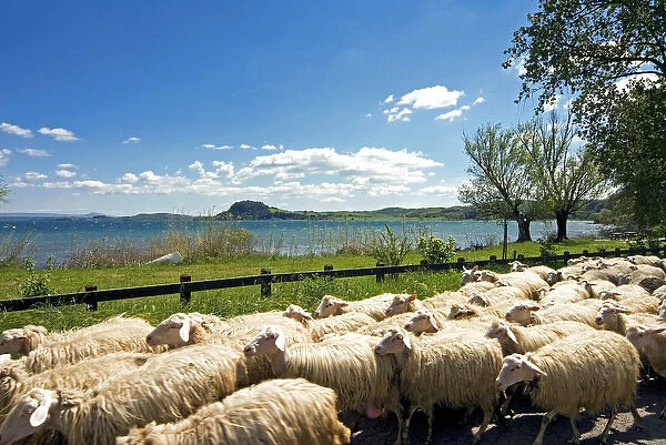 Lake of Bolsena, View from San Magno area, Viterbo, Latium, Italy