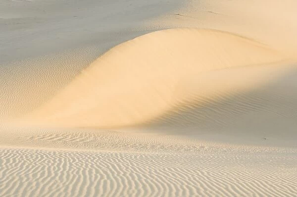 Mesquite Sand Dunes at Dawn in Death Valley NP, CA, USA
