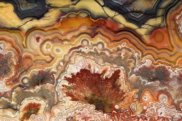 Mexico. Close-up of Crazy Lace Agate stone