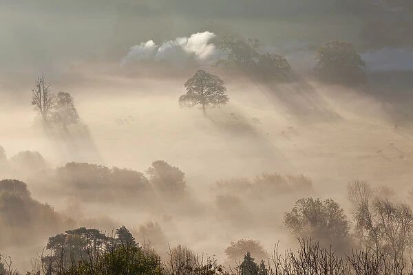 Misty autumn morning, Uley, Gloucestershire, UK