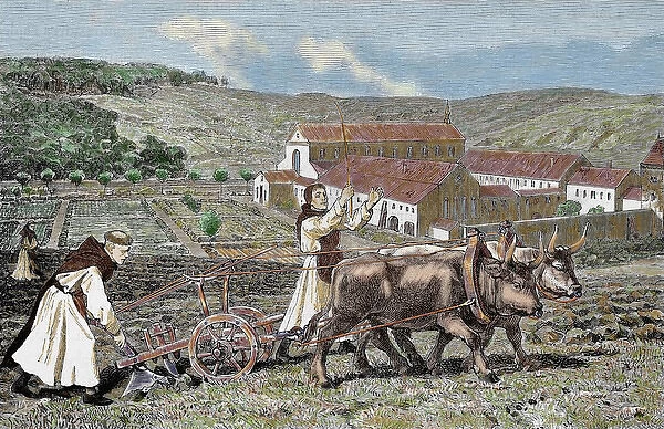 Monks ploughing the land with oxen. Germany. 1872. Colored engraving