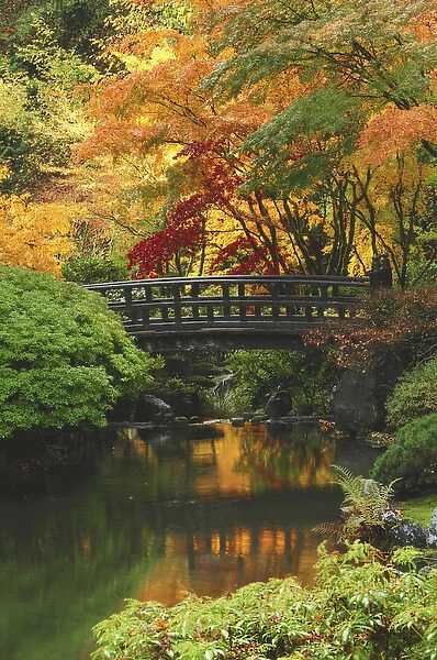 Moon Bridge in Autumn: Portland Japanese Garden, Portland, Oregon, USA