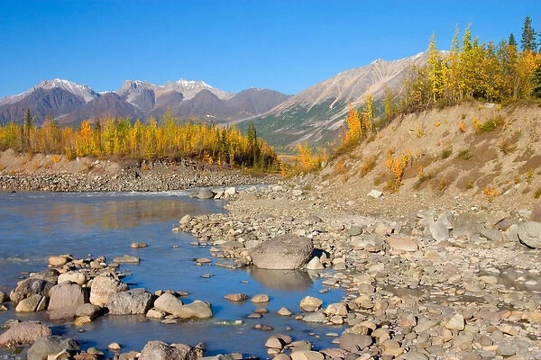 N. A. USA, Alaska. The Kennicott River in Autumn